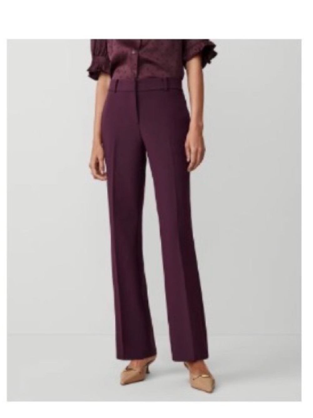 Ann Taylor petite  JayneTrousers